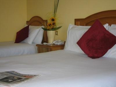וואטרפורד Woodlands Hotel & Leisure Centre מראה חיצוני תמונה